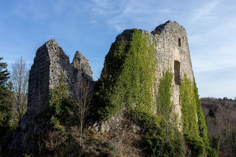 2015-Pleigne-Loewenburg-Ruine